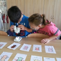 IMG_20201008_111637