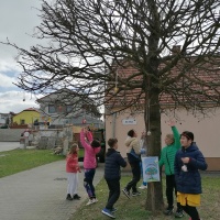 IMG_20230405_120151