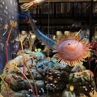 IMG_9448