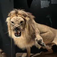 IMG_9233
