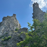26