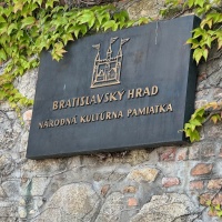 29
