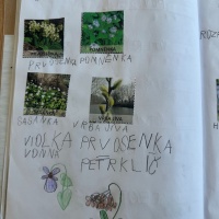 prv13