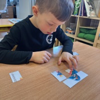 ptáci5