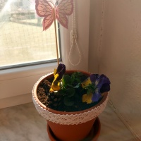 Screenshot_20260320_155623_Gallery