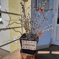 LÁSKOVNÍK