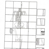 156050100_2811983425785825_525753996425374095_n