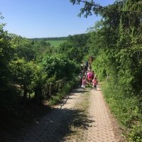 IMG_4971