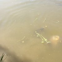 IMG_5010