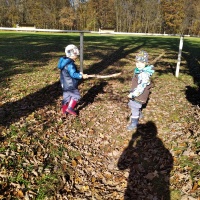 IMG_20201105_104323