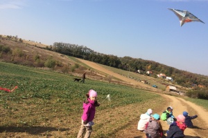 image6