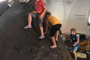 65595858_480094635894762_4887613224536506368_n